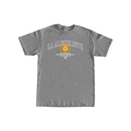Gray t-shirt with 'La Albiceleste' Argentina graphic design